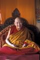 Trulshik Rinpoche.jpeg