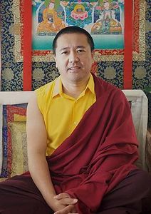 Tulku Orgyen Phuntsok.jpg