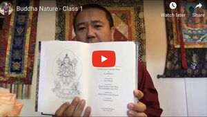 Tulku Orgyen Phuntsok Buddha Nature Class - Teachings on the Uttaratantra-thumb.jpg