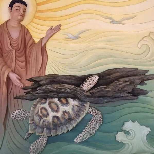 File:Turtle and yoke.png