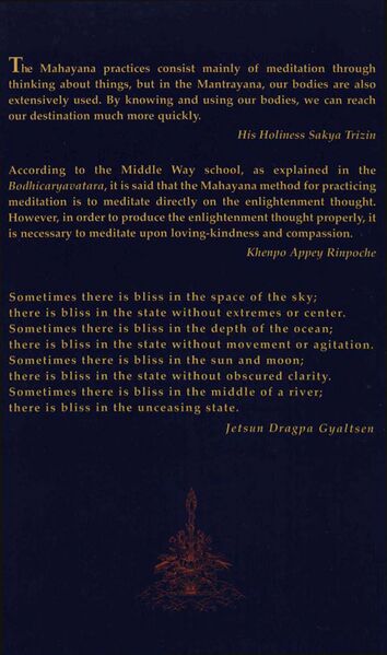 File:Visions 1-back.jpg