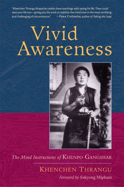 File:Vivid Awareness-front.jpg