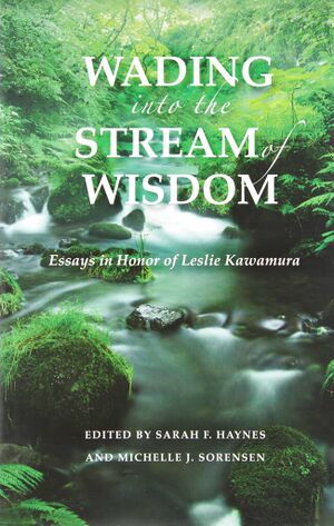 Wading into the Stream of Wisdom-front.jpg