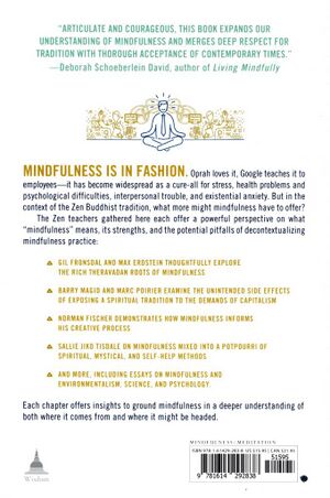 What's Wrong with Mindfulness-What's Wrong with Mindfulness-back.jpg