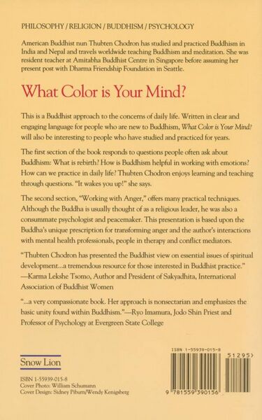 File:What Color is Your Mind-back.jpg