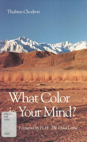 What Color is Your Mind-front.jpg