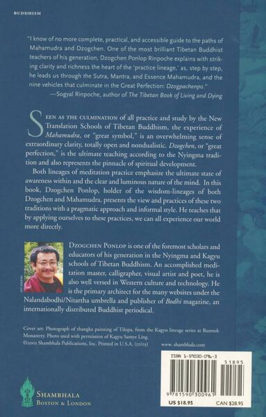 File:Wild Awakening-back.jpg