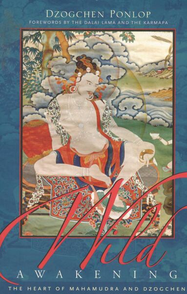 File:Wild Awakening-front.jpg