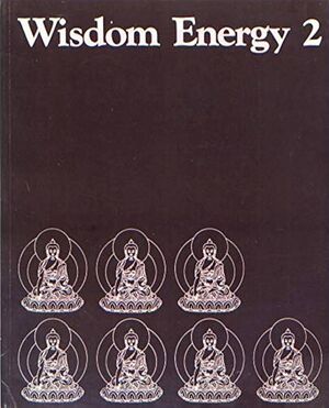 Wisdom Energy 2-front.jpg