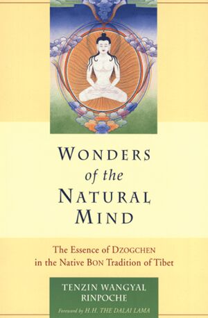 Wonders of the Natural Mind-front.jpg