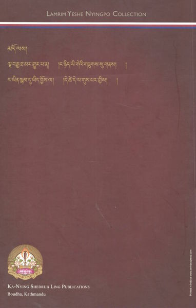 File:Ye shes snang ba rab tu rgyas pa-back.jpg